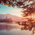 Framing and Cropping: Techniques for Improving Your Digital Photography