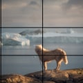 Understanding the Rule of Thirds for Better Photography