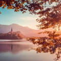 Framing and Cropping: Techniques for Improving Your Digital Photography